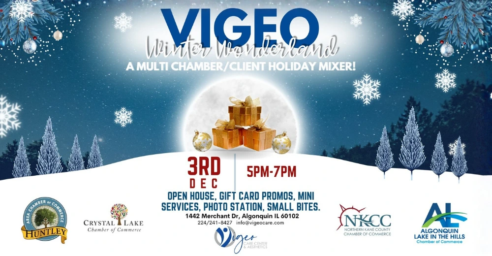 Vigeo Winter Wonderland Event poster
