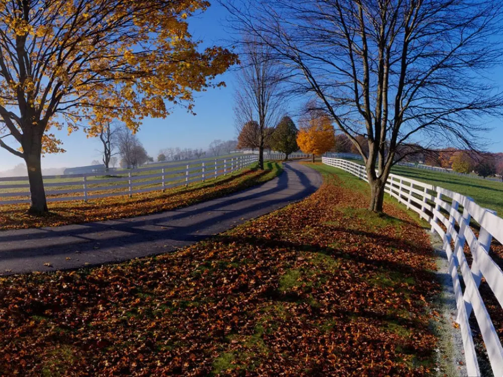 Vigeo Care Center & Aesthetics Near Barrington Hills IL